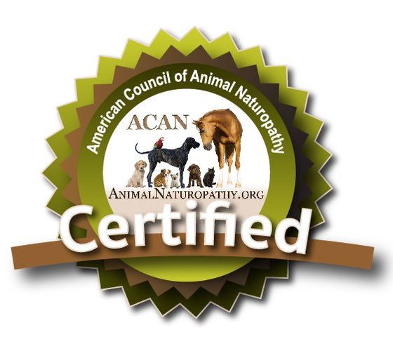 American Council of Animal Naturopathy Certified